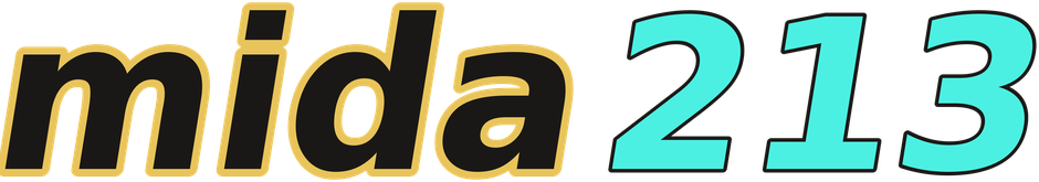 mida213 logo
